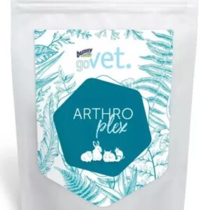 arthro goVet ARTHROplex 325g