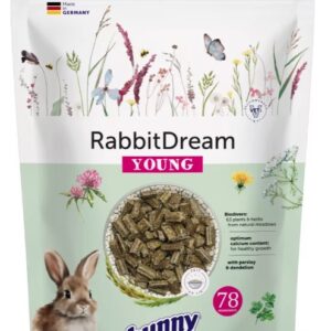 RabbitDream YOUNG
